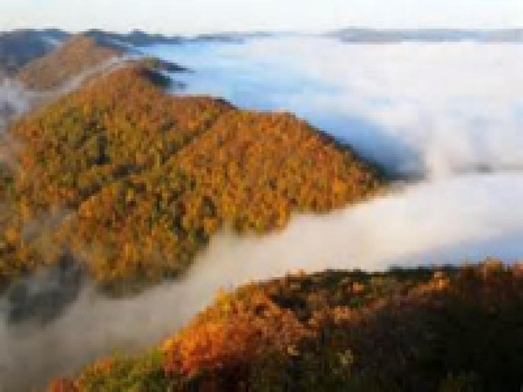 Cumberland Gap Olde Mill Inn Bed & Breakfast מראה חיצוני תמונה
